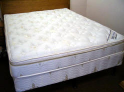 Harmony Air Bed Mattress Cover can be used as a Somma Replacement Top